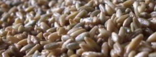 щи московские. Шаг 2