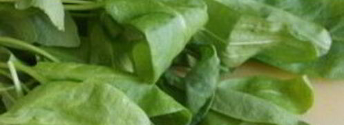 щи с бараниной. Шаг 10