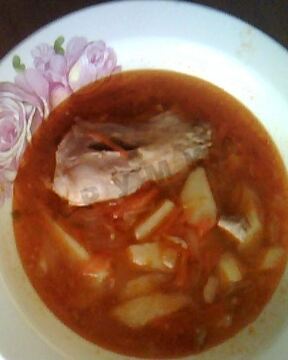 Суп щи из квашеной капусты с мясом