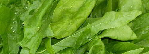 словацкий суп зеленуца. Шаг 5