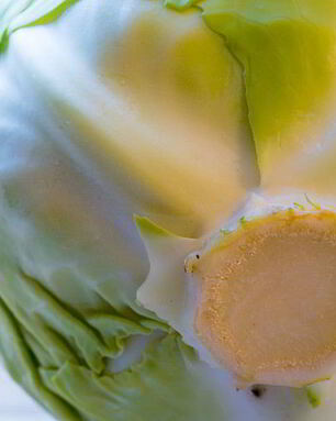 Солянка из капусты