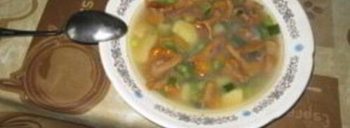 суп грибной с лисичками. Шаг 8