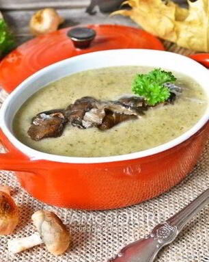 Суп-пюре из лесных грибов