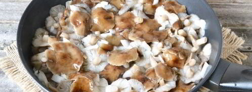 суп-пюре из лесных грибов. Шаг 5