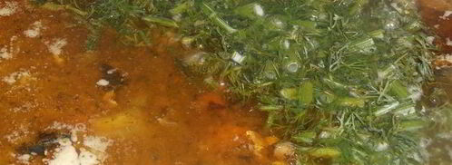 суп рыбный с вермишелью. Шаг 4