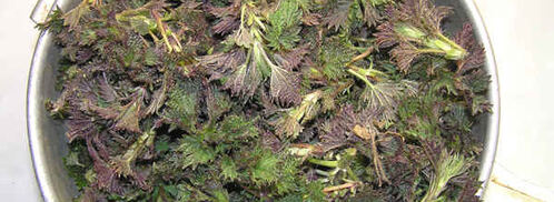 суп весенний с крапивой. Шаг 11