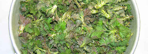 суп весенний с крапивой. Шаг 13