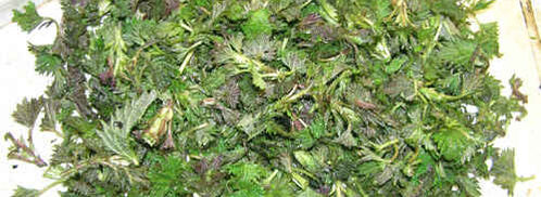 суп весенний с крапивой. Шаг 15