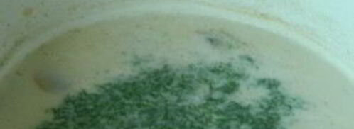 сырный суп с шампиньонами и брокколи. Шаг 6