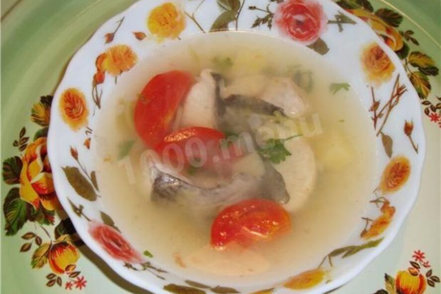 Рецепт рыбного супа уха из сома