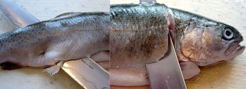 средиземноморская уха с гриссини жил отважный капитан. Шаг 3