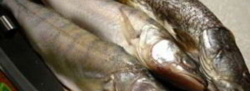 уха архиерейская. Шаг 3