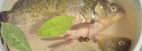 уха из карасей. Шаг 3