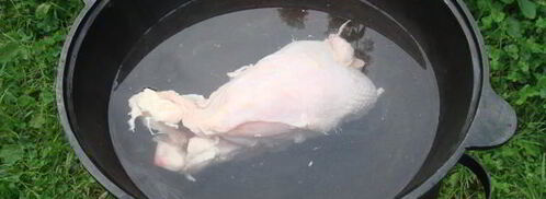 уха из карпа по-царски. Шаг 2