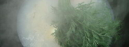 уха из карпа по-царски. Шаг 11