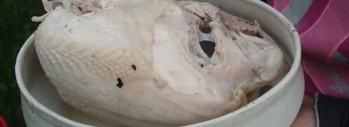 уха из карпа по-царски. Шаг 7