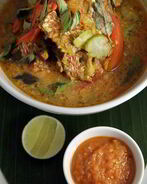 Уха из морского ангела