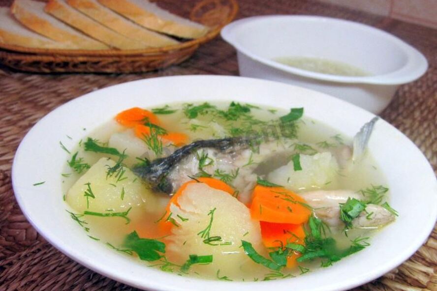 Рецепт ухи из речной рыбы