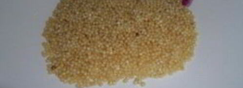 уха из семги с пшеном. Шаг 4