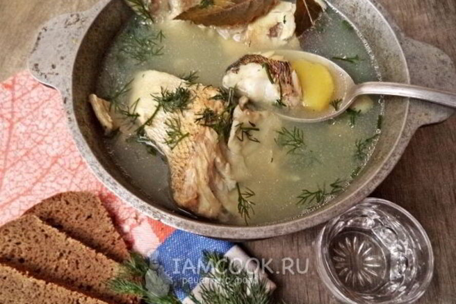 Рецепт ухи из судака по-рыбацки