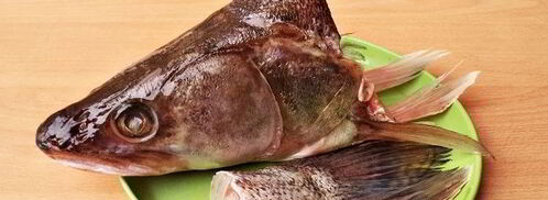 уха из судака по-рыбацки. Шаг 4