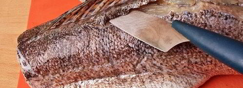 уха из судака по-рыбацки. Шаг 5