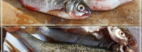 уха по-царски из петуха. Шаг 8