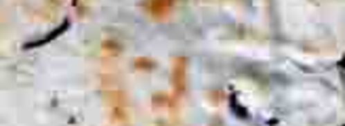 китайский блинчик с начинкой. Шаг 8