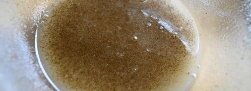 кекс с имбирем и ореховым топпингом. Шаг 5