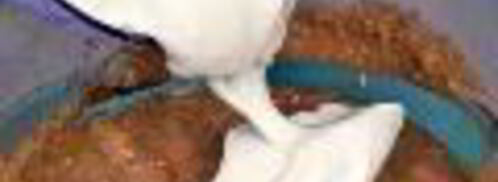 шоколадные кексы с малиновым соусом. Шаг 3