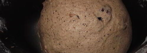 ржаной хлеб с сушеной клюквой. Шаг 2