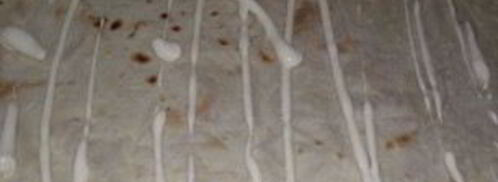 лаваш с грибами и сыром. Шаг 2