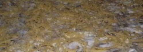 лаваш с грибами и сыром. Шаг 5