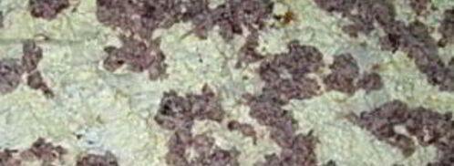 лаваш с консервой. Шаг 6