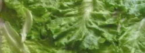 лаваш с курицей. Шаг 6