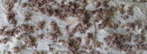 лаваш с сардиной. Шаг 2