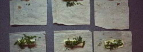 сулугуни в лаваше на сковороде. Шаг 2