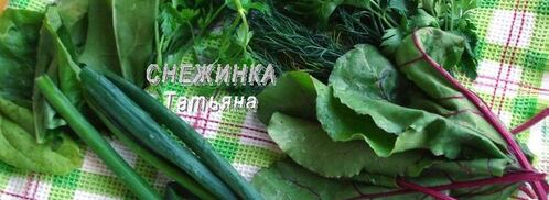 заварные лепешки с сыром и зеленью. Шаг 4