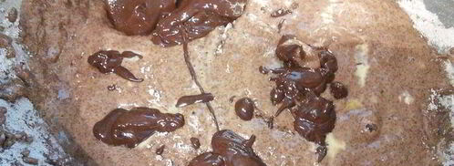 шоколадные маффины под сливочной шапочкой. Шаг 4