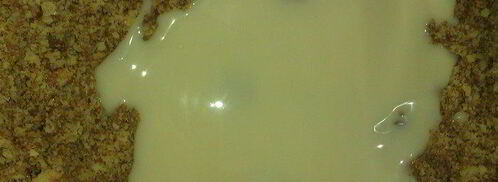 печенье ассорти великолепное трио. Шаг 8