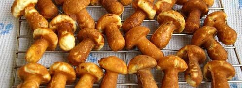 печенье грибочки и орешки со сгущенкой. Шаг 13