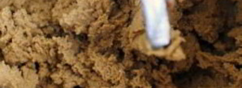 простое имбирное печенье. Шаг 7