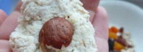 рождественское печенье снежки. Шаг 8