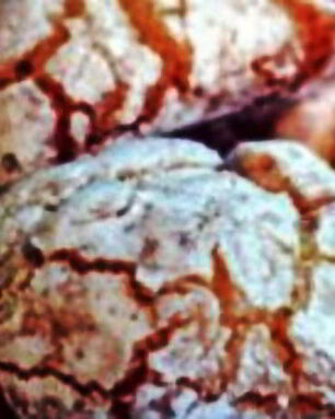 Сицилийское печенье с апельсиновой цедрой