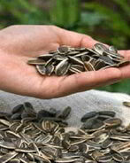 Быстрый пирог к чаю