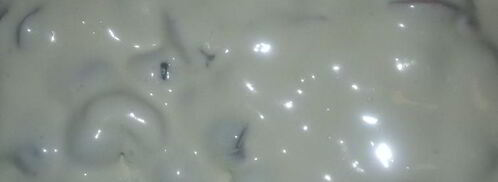 венгерский черешневый пирог. Шаг 6