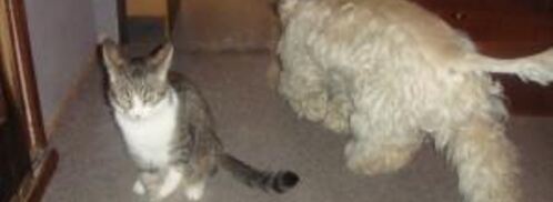 пирожки для бабушки. Шаг 7