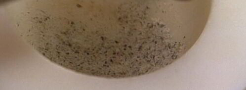 пицца из лаваша с креветками, артишоками и моцареллой. Шаг 4