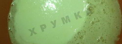 пирог с яблоками шарлотка. Шаг 3