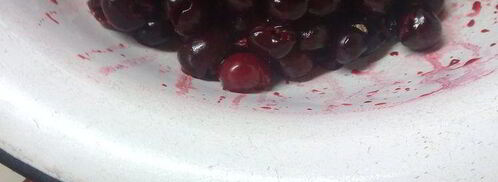 вишневая шарлотка. Шаг 9